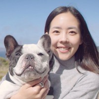 Sandy Chung Email & Phone Number
