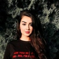 SEDNA IT Group Employee Shiva Soltani's profile photo
