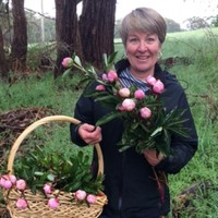 JET Charge Employee Wendy Kimpton's profile photo
