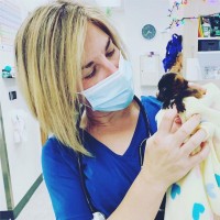 CareVet Employee Tina Grove's profile photo