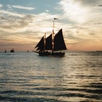 Vyrnalyn-Leinani Zane