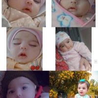 XP.NETWORK Employee Rukhsar Bibi's profile photo