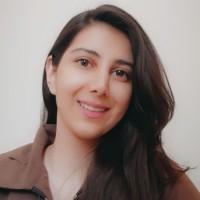 Arshon Technology Inc. Employee Eli Sadafi's profile photo