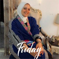 Mona Elleithy Email