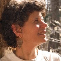 Lynn Levine