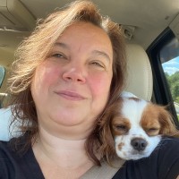The Joyce Agency, Inc. Employee Ginny Stone's profile photo