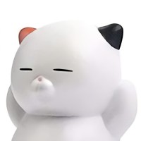 Yuhao Dong