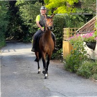 Vie Management Employee Derek Villiers's profile photo