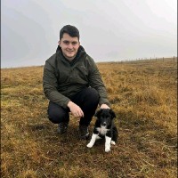 MSubs Ltd Employee John Tweedale's profile photo