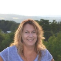 LandPro Equipment, LLC Employee Cyndi Fiore's profile photo