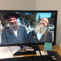 Sruly Freilich Email & Phone Number