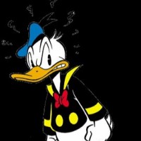 Flagright Employee Donald Bringmann's profile photo
