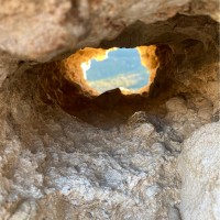 Rees Restoration Employee Scott Whitlock's profile photo