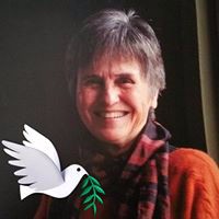 California Global Education Project (formerly California International Studies Project) Employee Nancy Ostrom's profile photo