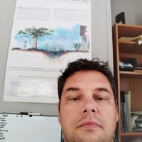 Daniel Vitelli Email & Phone Number