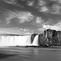 Jon Ferrier Email & Phone Number