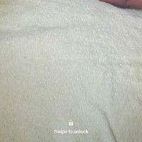 IBS Employee Shatta Last's profile photo