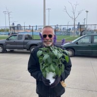 SCHAIN BANKS Employee David O'Keefe's profile photo