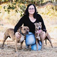 Trisha Gray's profile photo