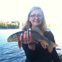 Lorraine Jackson Email