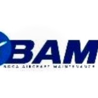 Boca Aircraft Maintenance Employee Barbara Nicoletta's profile photo