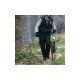Utah Transit Authority Employee Chris Bitton's profile photo