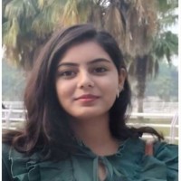 Tentoro Technologies LLC Employee Iliya Ansari's profile photo