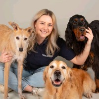 Wilsons Pet Food Ltd Employee Danielle Beddall's profile photo