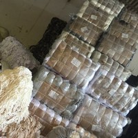 Coretex Products Inc Employee Belhaiza Yassine's profile photo