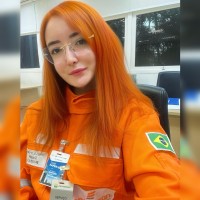 Inplast Industrial Employee Larissa Sandes's profile photo