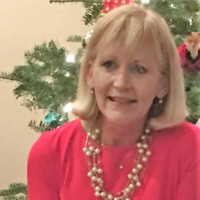 VESSEL Employee Cindi Waugh's profile photo
