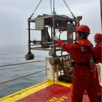 Benthic Solutions Limited Employee Alexander Meadows's profile photo
