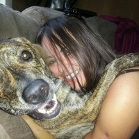 Financial Asset Management Systems, Inc. (FAMS) Employee Jessica Lawrence's profile photo