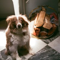 Soma Employee Jonathan Kimsey's profile photo
