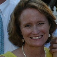 Various Nonprofit firms Employee Susan Stewart's profile photo