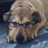 Epic Learning Team Employee Lola Jumper's profile photo