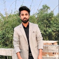 Babysoft Software Employee Krishna Chauhan's profile photo