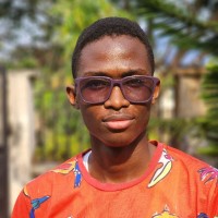 Demz Analytics Employee Favour Sunday's profile photo