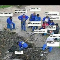 Greiner Packaging Employee Rade Vergaš's profile photo