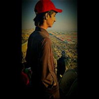 Mohammad Rafi Email