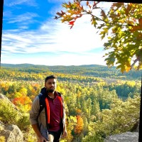 Saifuddin Mohammed Email & Phone Number