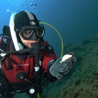 ECOCEAN Employee Antony Fortin's profile photo