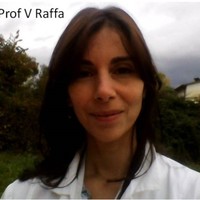 Vittoria Raffa Email & Phone Number