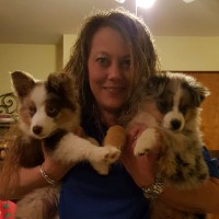 Julie Bryant Email & Phone Number