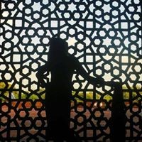 Alleviate Technologies Pvt Ltd Employee Aalo Shaanjher's profile photo