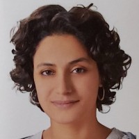 Haifa Saleh Email