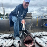 SplashBI Employee Mike Adams's profile photo
