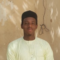 BrandOne Technologies Limited Employee Mahmoud Wali's profile photo