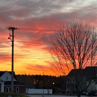 Environmental Systems Employee David Estey's profile photo