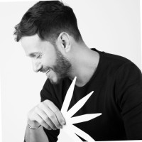 David Benedek Email & Phone Number